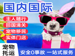正定机场快递国际宠物托运 【国